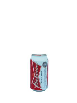 Budweiser 355ml*24can